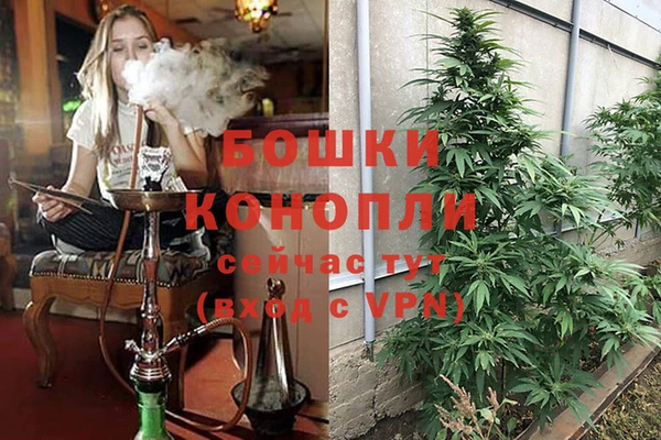 спиды Осташков