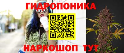 гашиш Кандалакша