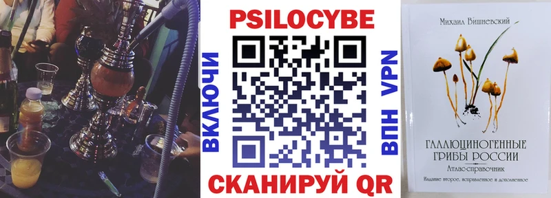 mega ONION Краснокамск Псилоцибиновые грибы Psilocybe купить закладку