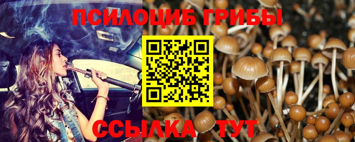 Псилоцибиновые грибы Magic Shrooms  Краснокамск  Псилоцибиновые грибы Magic Shrooms 