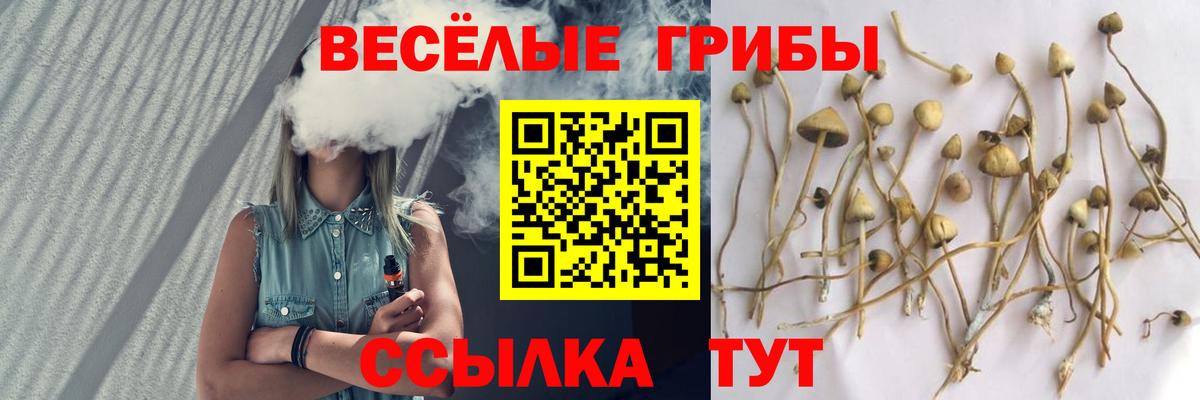 Галлюциногенные грибы Cubensis Краснокамск