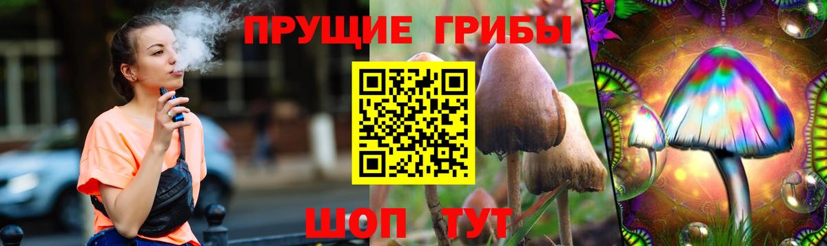 Псилоцибиновые грибы Magic Shrooms Краснокамск